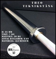 Theo Teknikstång