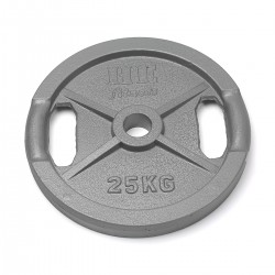 Järnvikt 25 kg
