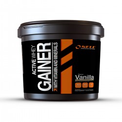 Self Omninutrition Active Gainer 4 kg