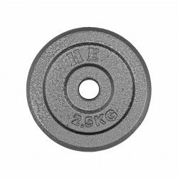 Skolvikt järn 2,5 kg